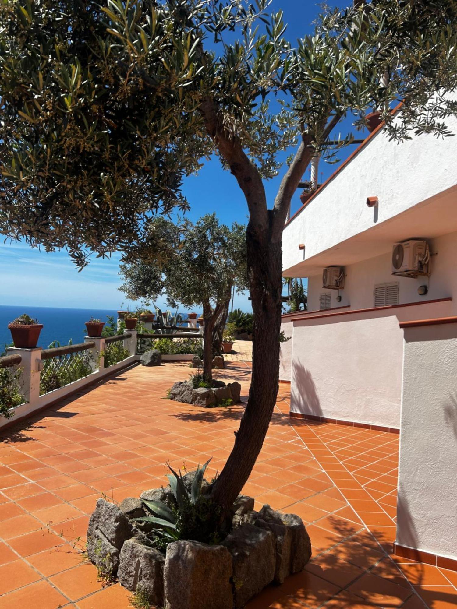 Hotel Punto Azzurro Forio di Ischia Exterior foto
