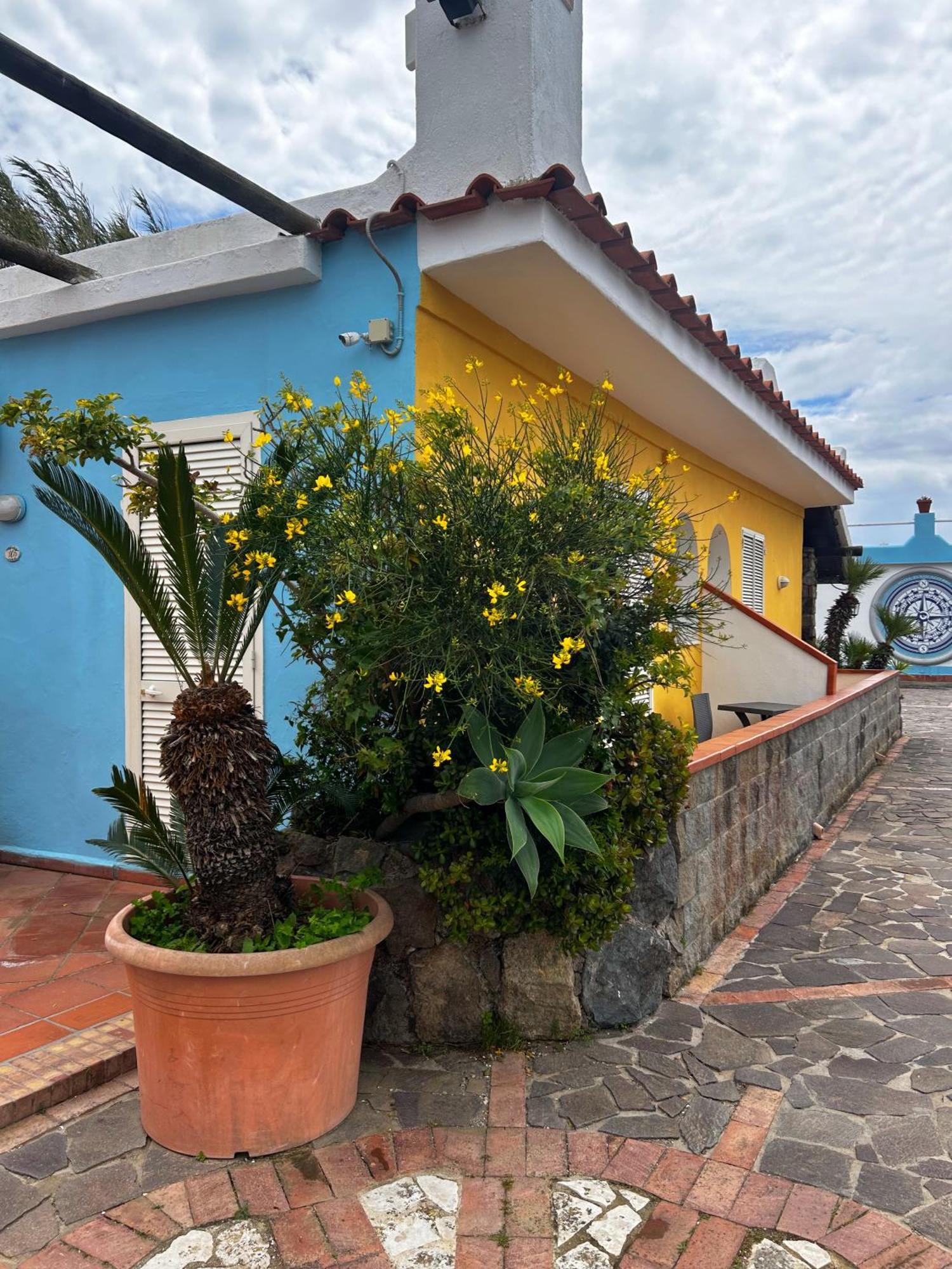 Hotel Punto Azzurro Forio di Ischia Exterior foto