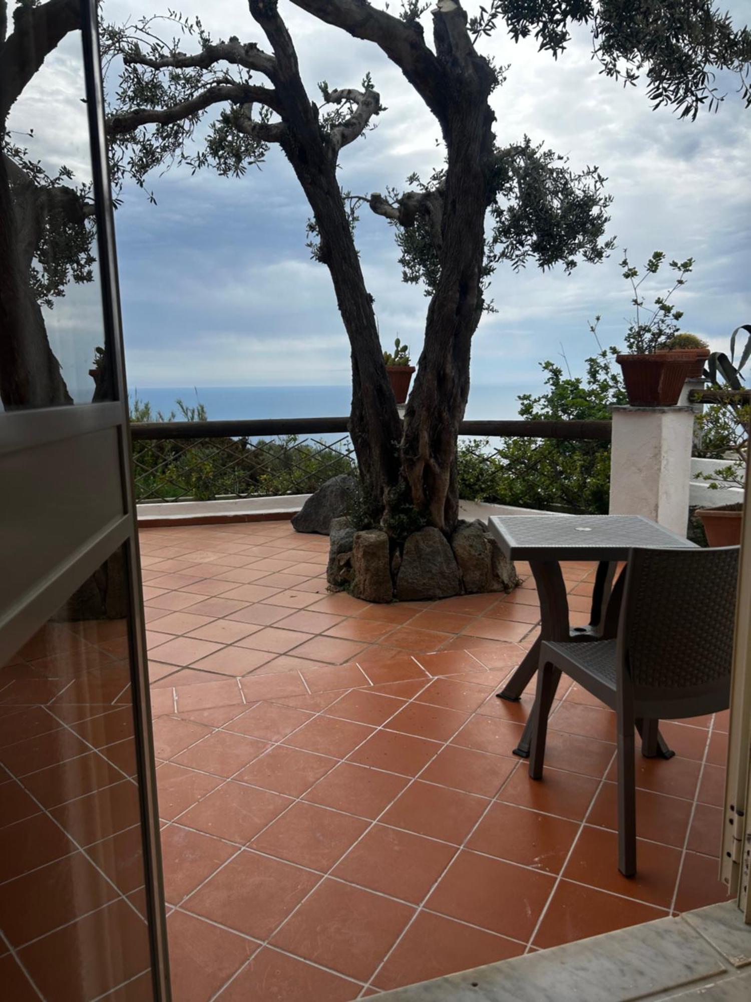 Hotel Punto Azzurro Forio di Ischia Exterior foto